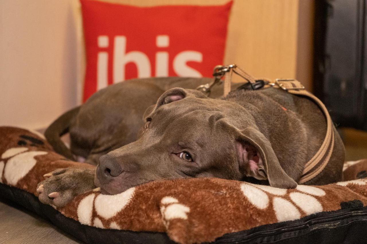 Готель Ibis Cartagena Marbella Екстер'єр фото